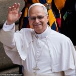 O Papa Leo XIV declarou oficialmente seu primeiro milagre como pontífice e creditou a recuperação de 2007 por um recém -nascido moribundo em Rhode Island para a intervenção divina após a oração desesperada de um médico
