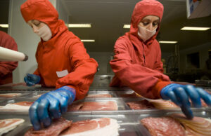 O alerta de saúde pública emitida em salada de presunto: ‘deve ser jogado’ O alerta de saúde pública emitida em salada de presunto: 'deve ser jogado'