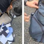 O aparecimento dos sacos diplomáticos do Ministério das Relações Exteriores foi morto no saco de papel contendo todas as roupas novas.