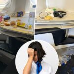O capitão Air France atinge um folheto de classe executiva "sem vergonha" por ser um desleixado