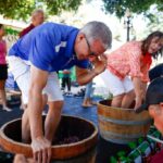 Prefeito de Morgan Hill, Mark Turner compete na uva ...
