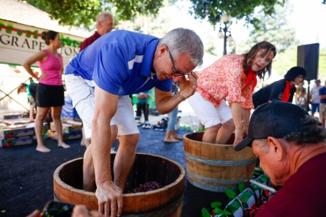 Prefeito de Morgan Hill, Mark Turner compete na uva ...