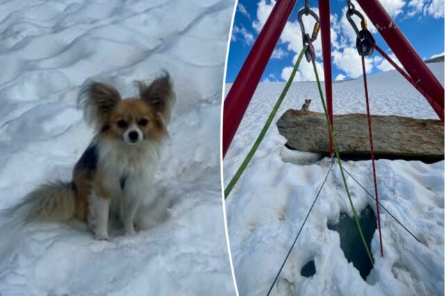 Slot na neve com cordas e equipamentos.