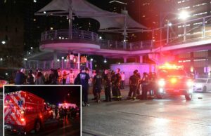 O homem atirou no intestino acima do Bling Golden depois de deixar o bar no centro da cidade: Gliners O homem atirou no intestino acima do Bling Golden depois de deixar o bar no centro da cidade: Gliners