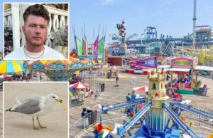 O homem de Nova Jersey faz vingança macabra em Seagull, que roubou o lanche de seu filho O homem de Nova Jersey faz vingança macabra em Seagull, que roubou o lanche de seu filho