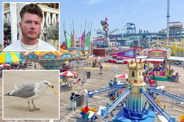 O homem de Nova Jersey faz vingança macabra em Seagull, que roubou o lanche de seu filho


