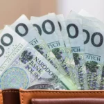 O julgamento pró -Bosnia do Tribunal Constitucional. Alterações nas regras para conceder uma taxa de atendimento