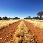 O mochileiro encontrou vivo após quase 2 semanas ausentes no Outback australiano