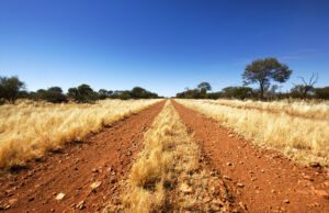O mochileiro encontrou vivo após quase 2 semanas ausentes no Outback australiano O mochileiro encontrou vivo após quase 2 semanas ausentes no Outback australiano