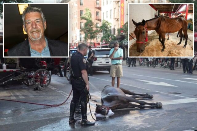 O motorista do carro do cavalo explode com lágrimas depois que o jurado atinge o veredicto sobre o abuso de "Ryder"

