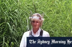 O príncipe de Diana se espalhou para a proibição dos braços mortais. Alguns da Europa gostam deles de volta O líder de Diana encontra a minera terrestre deixada em Angola em janeiro de 1997.