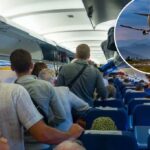 O que são "piolhos"? Problemas assediando viagens aéreas - e você pode ser um deles