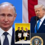 O senador Lindsey Graham avisa Putin: Trump "colocaria Whoopin 'na sua bunda"