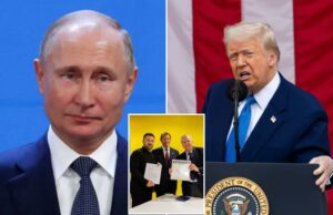 O senador Lindsey Graham avisa Putin: Trump “colocaria Whoopin ‘na sua bunda” O senador Lindsey Graham avisa Putin: Trump "colocaria Whoopin 'na sua bunda"