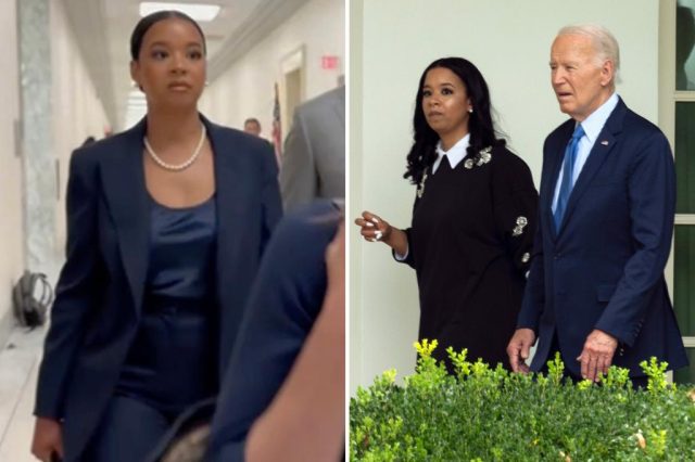 O terceiro consultor de Biden, Ashley Williams, entrou no interrogatório sobre a queda mental do presente presente


