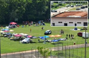 O tiroteio em massa explode nos congressos no Tennessee, enviando quatro para o hospital – Strzelec na natureza O tiroteio em massa explode nos congressos no Tennessee, enviando quatro para o hospital - Strzelec na natureza