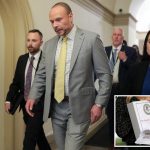 O vice -diretor do FBI Dan Bongio pesa a renúncia do administrador Trump Jeffrey Epstein "Lista de clientes"
