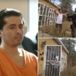 O violento brutalmente atirou em pais, uma irmã adolescente e um cachorro de família até a morte - e eles os arrastaram para "enterrá -los"