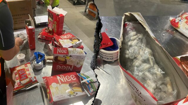 Oficiais alfandegários alemães garantirão 1.500 tarântulas contrabandeadas no spongecake de remessa internacional

