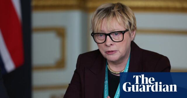 Oficiais de fronteira britânicos para usar a IA para verificar idades ou requerentes de asilo infantis

