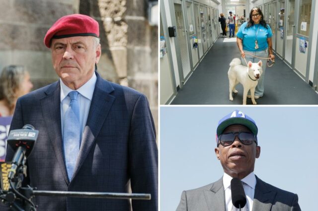 Os abrigos de animais embaraçosos em Nova York ganham mais 1 milhão de dólares em fundos dos contribuintes, atingindo o Partido Republicano como "uma herança em um balde"

