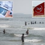 Os banhistas de Nova York levam os últimos avisos sobre os tubarões de Nova York com enorme grão de sal: "Surfemos com tubarões"
