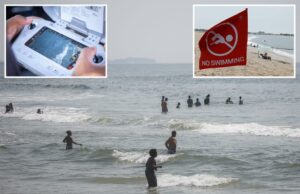 Os banhistas de Nova York levam os últimos avisos sobre os tubarões de Nova York com enorme grão de sal: “Surfemos com tubarões” Os banhistas de Nova York levam os últimos avisos sobre os tubarões de Nova York com enorme grão de sal: "Surfemos com tubarões"