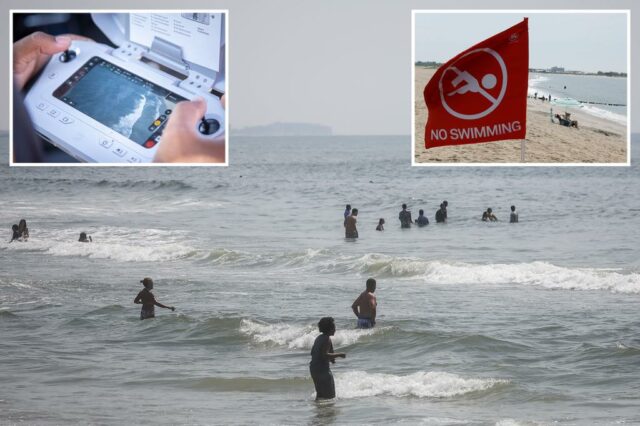 Os banhistas de Nova York levam os últimos avisos sobre os tubarões de Nova York com enorme grão de sal: "Surfemos com tubarões"

