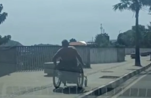 Os caucasicos virais estão determinados a usar uma cadeira de rodas no topo de Waringin Labuan Os caucasicos virais estão determinados a usar uma cadeira de rodas no topo de Waringin Labuan