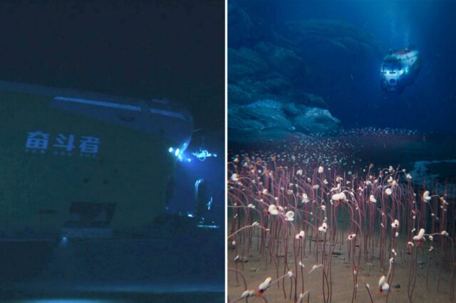 Os cientistas descobrem que a vida aquática nunca viu antes das profundezas mais sombrias do oceano

