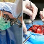 Os cientistas estão tentando novas maneiras de preservar mais corações para transplantes