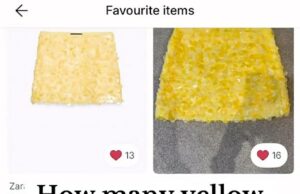 Os compradores intrigados quando vintados são inundados com mais de 120 saias Zara idênticas em perfeitas condições Muita saia da mesma zara foi descoberta em compradores vênicos e intrigantes sobre por que existem tantos do mesmo produto