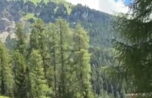 Os dolomitas da Itália são comparados ao ‘Disneyland’ após ‘Invasão de influenciadores’ quando os vídeos mostram enormes filas andando ao longo de faixas de rock Fotos e vídeos compartilhados nas mídias sociais compartilhadas pelos moradores furiosos mostraram multidões de turistas que entupiram uma estação de lentes na área de Seceda nas dolomitas