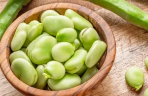 Os feijões cozidos dessa maneira serão sólidos, verdes e deliciosos. Um truque inteligente muda muito Os feijões cozidos dessa maneira serão sólidos, verdes e deliciosos. Um truque inteligente muda muito