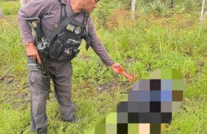 Os funcionários da taxa de governança de Yahukimo foram encontrados mortos, supostamente mortos por membros da KKB Elkus Kobak Os funcionários da taxa de governança de Yahukimo foram encontrados mortos, supostamente mortos por membros da KKB Elkus Kobak