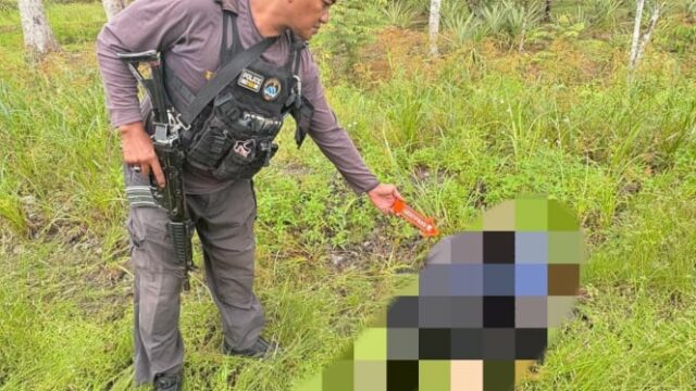 Os funcionários da taxa de governança de Yahukimo foram encontrados mortos, supostamente mortos por membros da KKB Elkus Kobak

