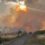 Os moradores são evacuados após vinte caminhões de bombeiros e cerca de 125 bombeiros foram chamados para uma grama de oito hectares em Londres
