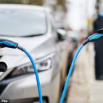 Os contribuintes bombeam cerca de £ 650 milhões para reduzir os preços de VEs até 2028-29, para que sejam mais atraentes para os motoristas (imagem)