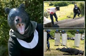 Os policiais são o anfitrião de “exercícios de urso” após uma série de ataques de urso Os policiais são o anfitrião de "exercícios de urso" após uma série de ataques de urso