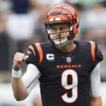 Os últimos comentários do Bengals QB Joe Joe Burrow devem se preocupar com a NFL