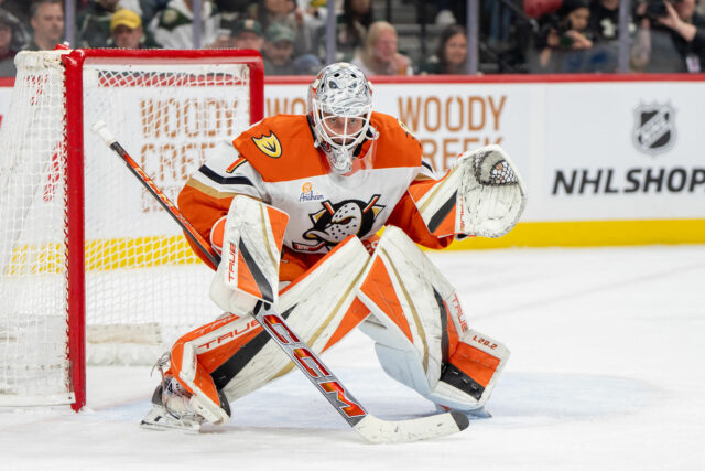 "Overpray": fãs da NHL, patos para a extensão do contrato Lukas Dostal 

