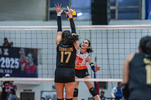 Erika Santos, de Cignal HD Spikers, durante um PVL em uma partida de turnê contra o Zus Coffee Thunderbelles.