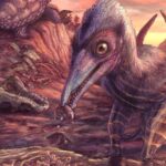 Paleontologistas descobrem um dos pontos de voo da América do Norte