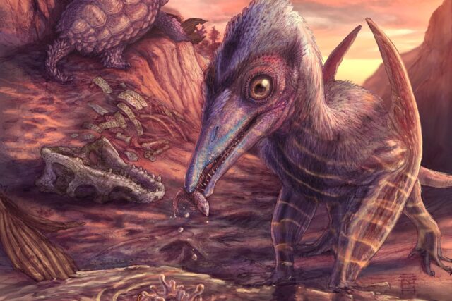 Paleontologistas descobrem um dos pontos de voo da América do Norte

