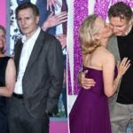 Pamela Anderson, Liam Neeson "desenvolvendo as coisas ao longo do caminho" no caso em desenvolvimento: fonte