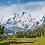 Paragror europeu da Europa da Europa da Europa, Nanga Parbat Slever