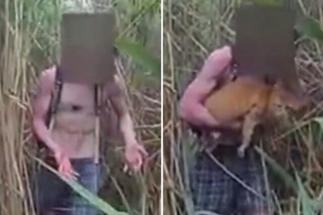 Policiais salvos confundidos adolescentes e seus gatos para animais perdidos em um denso pântano Massachusetts

