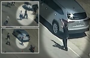 Protestando contra a pistola em agentes federais em um confronto caótico durante a California Pot Farm Raid: Vídeo selvagem Protestando contra a pistola em agentes federais em um confronto caótico durante a California Pot Farm Raid: Vídeo selvagem