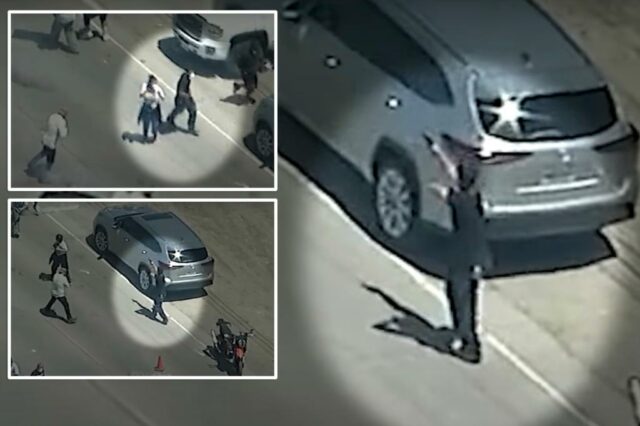Protestando contra a pistola em agentes federais em um confronto caótico durante a California Pot Farm Raid: Vídeo selvagem

