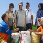 Pupuk Kaltim adora evidências de métodos agrícolas sustentáveis.